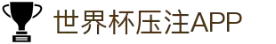 世界杯压注APP - 世界杯足球赛前情报与赛况更新中心